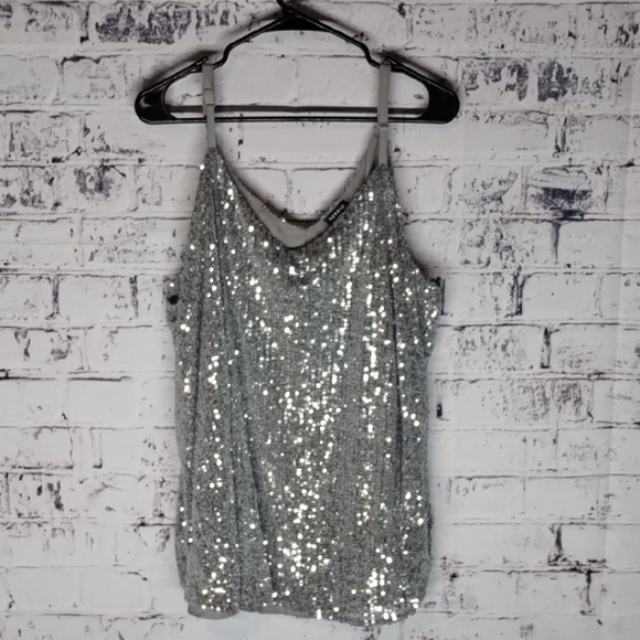 torrid Tops - NWOT Torrid Silver Sequin Sofie Camisole Top
